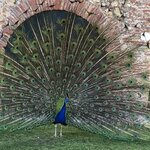 Photo taken by Paul M