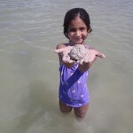 Photo taken by Narasimhachar P