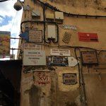 Photo taken by Lisa R