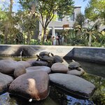 Photo taken by Mike K