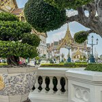 Photo taken by Collins M