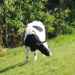 Photo taken by Debby D