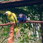 Photo taken by Ramnik B