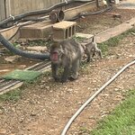 Photo taken by Tara S