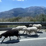 Photo taken by Ken P