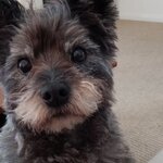 Photo taken by Tamara C