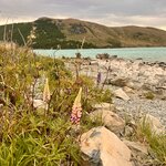 Photo taken by Kaya W