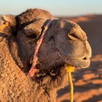 Photo taken by Betty A