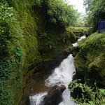 Photo taken by Emily K