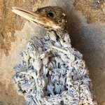 Photo taken by alton r