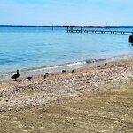 Photo taken by Gretchen C