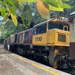 Photo taken by Rosemary S