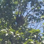 Photo taken by Lisa R