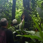 Photo taken by Joseph P