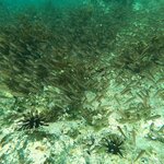 Photo taken by Stephanie A