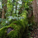 Photo taken by Jeffrey B