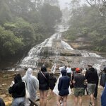 Photo taken by Cindy H