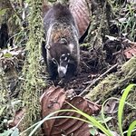 Photo taken by Kate R