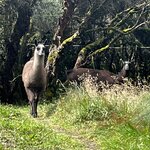 Photo taken by Vicki Lynn M