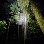 Photo taken by Thao T