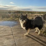 Photo taken by Marcos M