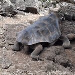 Photo taken by Jayme B