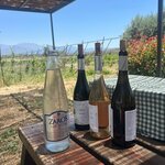 Photo taken by Robin S