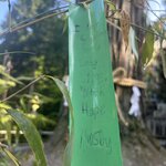 Photo taken by Katherine T