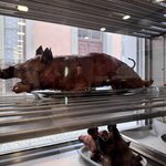 Photo taken by Alyson P