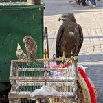 Photo taken by Roni E