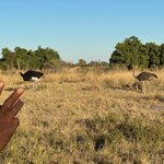 Photo taken by Tom B