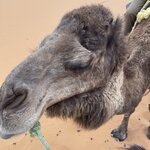 Photo taken by Evelyn K