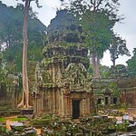 Photo taken by Jose C