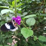 Photo taken by Elise C