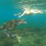 Photo taken by Stephanie A