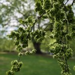 Photo taken by Karen M