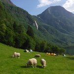 Photo taken by Chris M