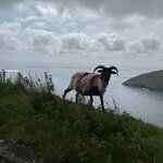 Photo taken by Connie R