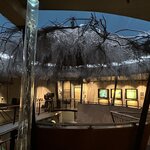 Photo taken by Jennifer D