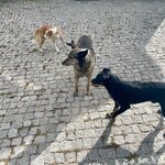 Photo taken by Karen C