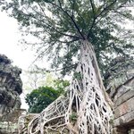 Photo taken by Carol F