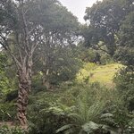 Photo taken by Heather W