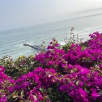 Photo taken by Cedric P