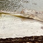 Photo taken by don m