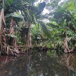 Photo taken by Darla D