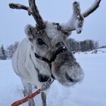 Photo taken by Sharon S