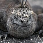 Photo taken by mindy n