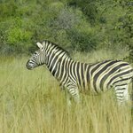 Photo taken by Linette B