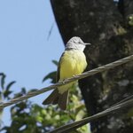 Photo taken by Joyce C