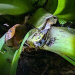 Photo taken by Linda P